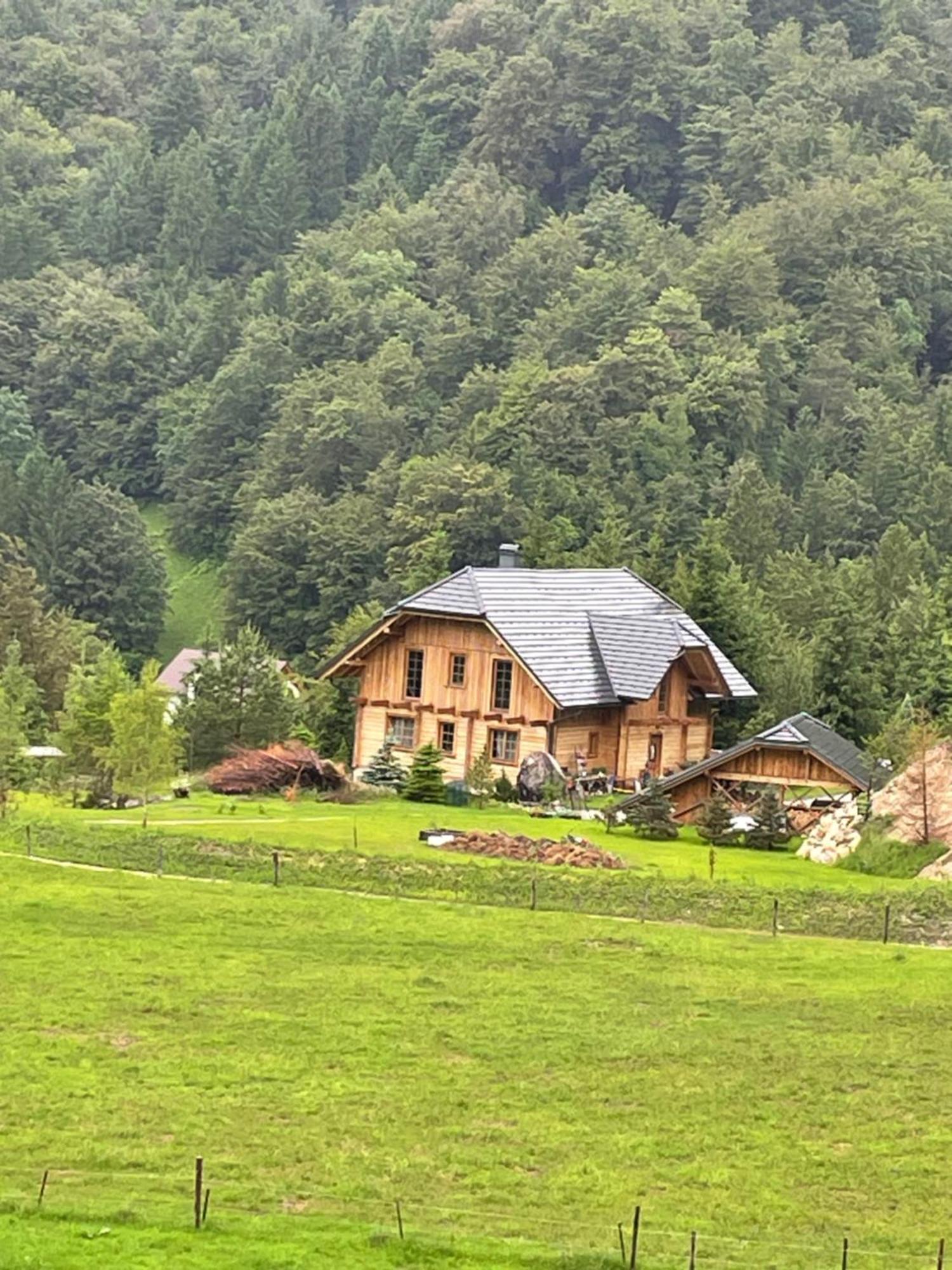 Apartment Pod Skalco Jesenice Dış mekan fotoğraf