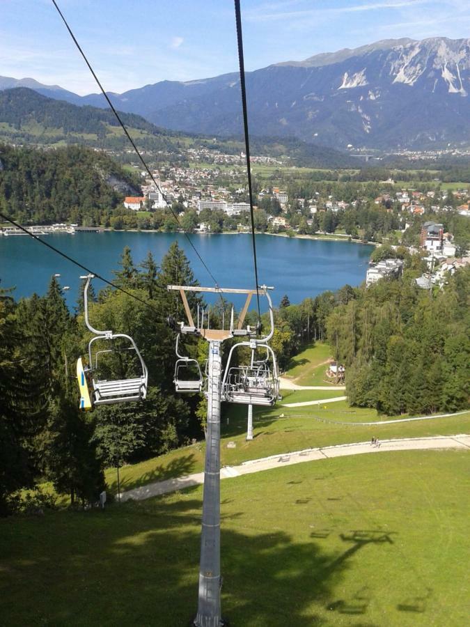 Apartment Pod Skalco Jesenice Dış mekan fotoğraf